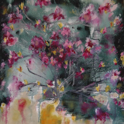 Early Magnolia 60 X 45 cm - Jan Primmer